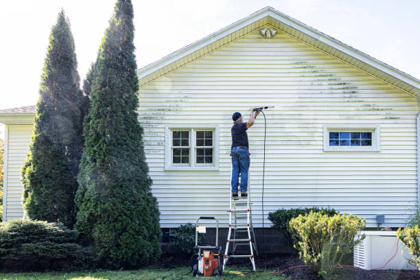 Boat and Dock Cleaning in Wilsonville, AL